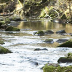 Aménagement d’un parc public au lieudit le Molard à Versoix